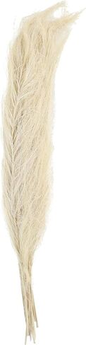 Deco 79 Dried Plant Feather Like Leaves Home Decor Natural Foliage Natural Dried Foliage with Stems, Foliage for Decoration 4" x 1" x 35", White in Saudi Arabia