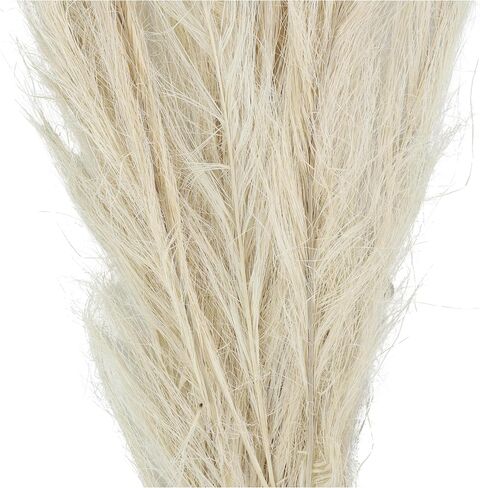 Deco 79 Dried Plant Feather Like Leaves Home Decor Natural Foliage Natural Dried Foliage with Stems, Foliage for Decoration 4" x 1" x 35", White in Saudi Arabia