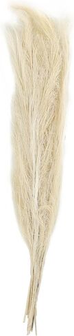 Deco 79 Dried Plant Feather Like Leaves Home Decor Natural Foliage Natural Dried Foliage with Stems, Foliage for Decoration 4" x 1" x 35", White in Saudi Arabia