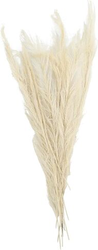 Deco 79 Dried Plant Feather Like Leaves Home Decor Natural Foliage Natural Dried Foliage with Stems, Foliage for Decoration 4" x 1" x 35", White in Saudi Arabia