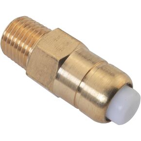 1/4 Inch NPT Thermal Relief Valve Thermal Release Valve Pressure Washer Release Valve Replacement Pump Protector for Pressure Washer Pump