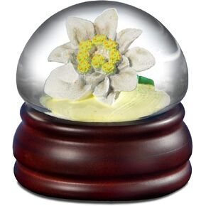 Edelweiss Mushroom Flower Water Globe