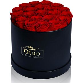 Otuo 21-Piece Preserved Roses in Gift Box, Real Eternal Rose Flower, Valentines Day Gifts for Her, Girlfriend, Mom, Women, Wife, Birthday Anniversary and Wedding (Red)