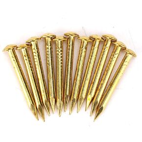 Round Head Nails, Pack of 100 Solid Brass Escutcheon Tacks Round Head Gold Nails Antique Vintage Furniture Brad Nails Furniture Hinge Hardware Accessories 10mm/15mm/18mm/22mm (22mm Long Thick)