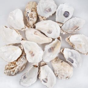 QEQEKAKA 30PCS Oyster Shells 5"-6" Extra Large Oyster Shells for Crafts Natural Oyster Shells Bulk, for Home Vase Filler, Xmas Ornaments, DIY Arts and Crafts Sea Shells