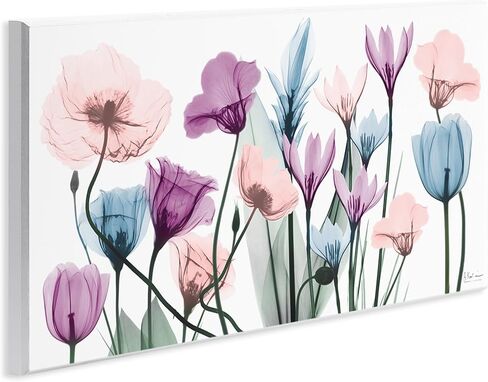 Stupell Industries Modern Translucent Pastel Tulips Flower Buds Blossoms, Design by Albert Koetsier in Saudi Arabia