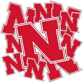 Desert Cactus University of Nebraska Stickers GBR NU Huskers Vinyl Decals Laptop Water Bottle Car Scrapbook T3 (Type 3-1)