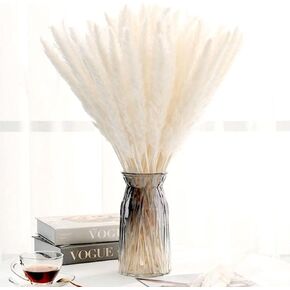 RKG Dried Pampas Grass - Boho Home Decor - Natural Dried Ivory Pampas - 30 Pcs 17" - Rustic Decorative Home Flower Arrangement - Protective Box Modern Living Room, Home, Wedding & Event Decor in Saudi Arabia
