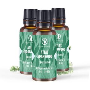 Lavender Oil Essential Oil(3PACK of 1OZ) with Eye Dropper|100% Pure Undiluted Natural Oil with Eye Dropper for Aromatherapy，Hair, Skin|Dropping CAPS for Diffuser,Humidifier,Cold