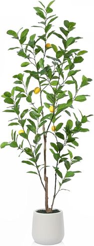شجرة صناعية، نباتات ليمون وهمية بطول 7 أقدام لديكور المنزل الداخلي، شجرة ليمون صناعية مع زارع أبيض 10.5 بوصة، نباتات أرضية كبيرة لديكور غرفة المعيشة المكتبية، عبوة واحدة in Kuwait