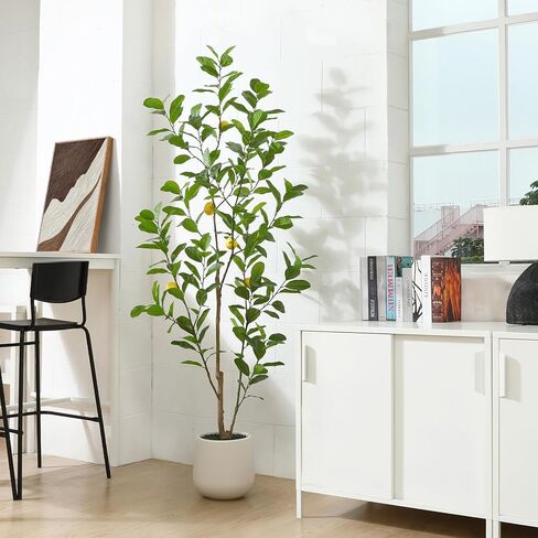 شجرة صناعية، نباتات ليمون وهمية بطول 7 أقدام لديكور المنزل الداخلي، شجرة ليمون صناعية مع زارع أبيض 10.5 بوصة، نباتات أرضية كبيرة لديكور غرفة المعيشة المكتبية، عبوة واحدة in Kuwait