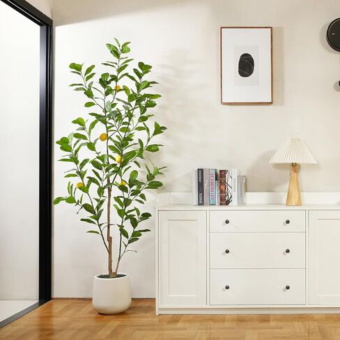 شجرة صناعية، نباتات ليمون وهمية بطول 7 أقدام لديكور المنزل الداخلي، شجرة ليمون صناعية مع زارع أبيض 10.5 بوصة، نباتات أرضية كبيرة لديكور غرفة المعيشة المكتبية، عبوة واحدة in Kuwait