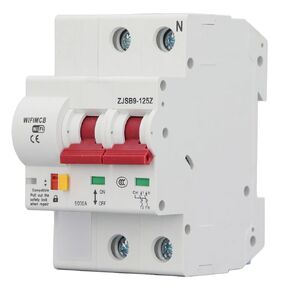 Smart Circuit Breaker 100A with Integrated Antenna PA66 BT APP Remote Control Switch for TUYA 2P 100A for Smart Home (110V)