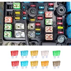 10PCS Car Fuses Assortment Kit, 5A 7.5A 10A 15A 20A 25A 30A Auto Fuses Assortment Kit, Car Parts Automotive Replacement Fuses Universal for Most Car/SUV/RV/Truck/Boat