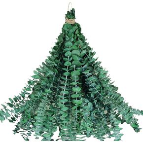 LB 20pcs Eucalyptus for Shower Hanging 17" Preserved Natural Dried Eucalyptus Leaves Stems Bathroom Plant Eucalyptus Shower Plant Dried Plants for Vase Filler Wedding Dried Flowers Arrangement Decor