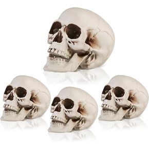 4 Pcs Skull Heads Halloween Decor Include 1 Life Size Skeleton Skull and 3 Small Plastic Skulls with Moveable Chins for Halloween Party Props Table Graveyard Outdoor Home Decor Gift