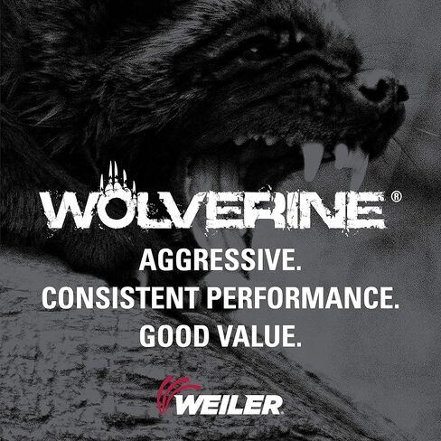 عجلة قطع Weiler 56068 مقاس 3 بوصات، قطع سريع من الفولاذ/المعدن Wolverine AO، قطع قيمة، 1/16 بوصة A36T نوع 1 3/8 بوصة (عبوة من 100 قطعة) in Saudi Arabia