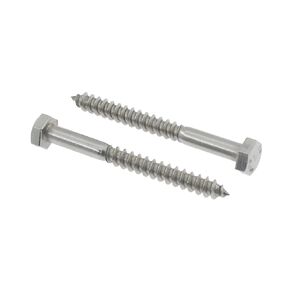3/8"*2-1/2"304 Stainless Steel Hex Head Lag Screws,SAFYY Heavy Duty Lag Bolt Screws for Wood Hexagon Head Screws 10 Pack