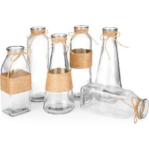 Opps Glass Vases in Differing Unique Shapes Creative Rope Design - Set of 6