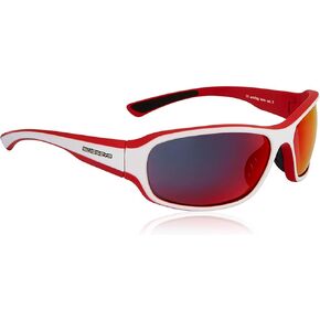 SWISSEYE Freeride Sports Sunglasses (100% UVA, UVB and UVC protection, shatterproof, rubberized nose area, microfiber bag)