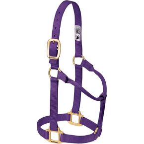 Weaver Leather Original Non-Adjustable Nylon Horse Halter, Average, Purple