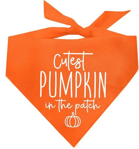 Cutest Pumpkin in The Patch Pumpkin Picking Dog Bandana (Orange, OS 1122) in Saudi Arabia