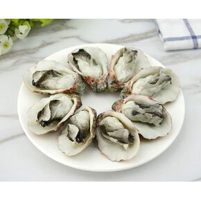 8Pcs Artificial Oysters Fake Shellfish Seafood Model Simulation Oysters Prop Food Sample Display for Kitchen Home Party Decorations