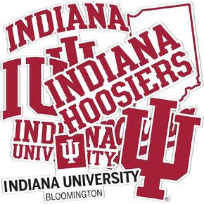 Desert Cactus Indiana University Hoosiers Bloomington Stickers Vinyl Decals Laptop Water Bottle Car 11.46x9.02 Sheet T2 (Type 2-2)