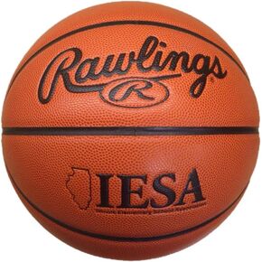 Rawlings Sporting Goods Official Basketball of The Illinois Elementary School Association