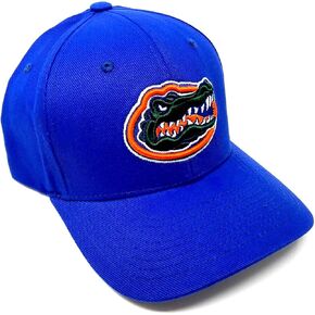 Men's Champ Fashion Florida Gators Embroidered Cap Royal Blue