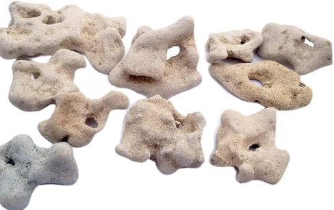 (1) Natural Hag Stone ~ from The Mediterranean ~ Each Unique with Natural Hole, Healing Spiritual Hag Stone, Pendant, Holey, Magical, Adder Stone Witch Stone Fairies Stone Odin Stone in Saudi Arabia