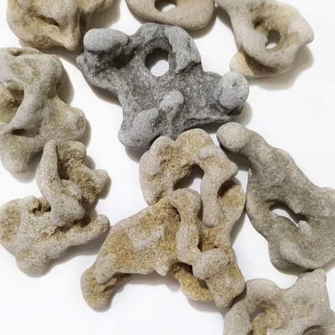 (1) Natural Hag Stone ~ from The Mediterranean ~ Each Unique with Natural Hole, Healing Spiritual Hag Stone, Pendant, Holey, Magical, Adder Stone Witch Stone Fairies Stone Odin Stone in Saudi Arabia