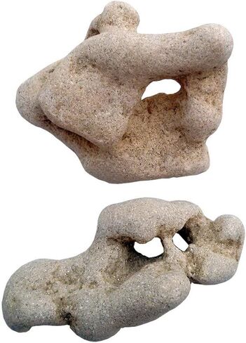 (1) Natural Hag Stone ~ from The Mediterranean ~ Each Unique with Natural Hole, Healing Spiritual Hag Stone, Pendant, Holey, Magical, Adder Stone Witch Stone Fairies Stone Odin Stone in Saudi Arabia