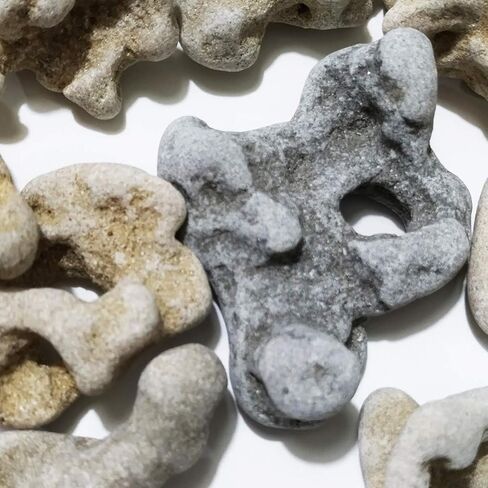 (1) Natural Hag Stone ~ from The Mediterranean ~ Each Unique with Natural Hole, Healing Spiritual Hag Stone, Pendant, Holey, Magical, Adder Stone Witch Stone Fairies Stone Odin Stone in Saudi Arabia