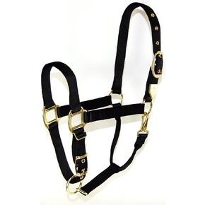 Hamilton 1-Inch Nylon Halter with Adjustable Chin, Black - Small Size