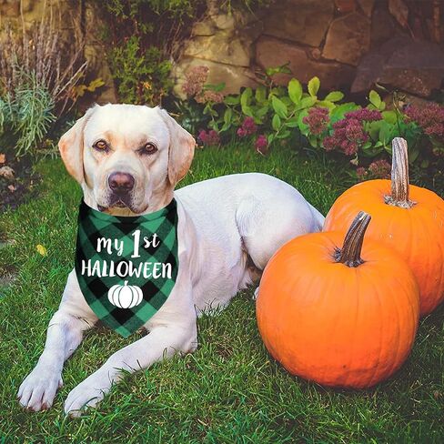 3 قطع من عصابات الهالوين للكلاب، وشاح منقوش للكلب والجرو والهالوين للعطلات مناسب للكلاب الصغيرة والمتوسطة والكبيرة والحيوانات الأليفة in Kuwait