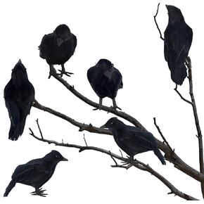ATDAWN Halloween Birds, Black Feathered Crows, Realistic Looking Halloween Birds Decoration Birds, 6.1" from Beak to Tail Feathers (12)