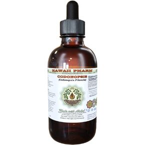Codonopsis Alcohol-Free Liquid Extract, Organic Codonopsis (Codonopsis Pilosula) Dried Root Glycerite Hawaii Pharm Natural Herbal Supplement 2 oz