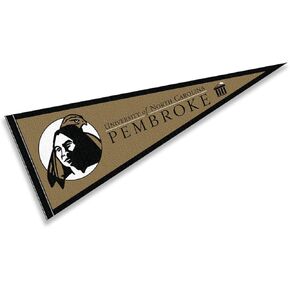 College Flags & Banners Co. UNC Pembroke Braves Pennant