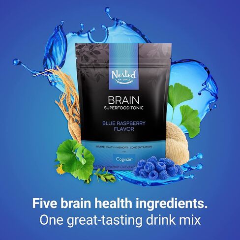 Nested Naturals Brain Superfood Tonic, Powder Drink Mix Supplement w/Lion’s Mane Mushrooms, Citicoline, Supports Memory, Mental Focus, Neuro Health, Mood, Raspberry Flavor, 30 Servings in Kuwait