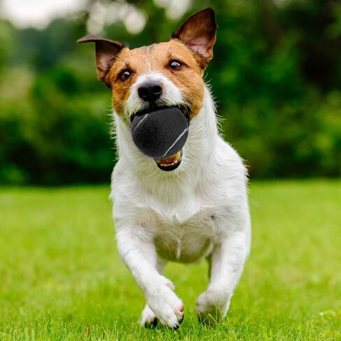 Tennis Balls, Blue Tennis Balls for Dogs, Bulk Tennis Balls, Practice Tennis Balls,Dog Tennis Balls,Squeaky Tennis Balls for Dogs,3 Tennis Balls Come with A Free Mesh Bag. in Saudi Arabia