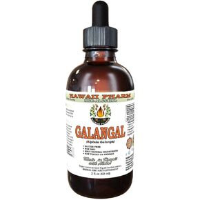Hawaii Pharm Galangal Root Alcohol-FREE Liquid Extract, Organic Organic Galangal (Alpinia Galangal) Dried Root Glycerite Natural Herbal Supplement 2 oz