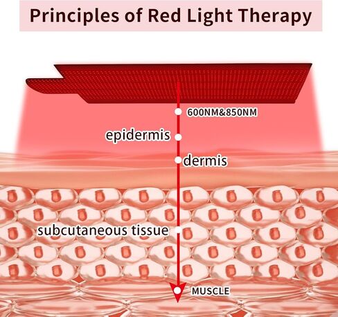 Red Light Therapy Mat for Body - Infrared Light Therapy Device with Red Light 660nm and Infrared Light 850nm. Near Infrared Light Therapy Pad for Shoulder Waist Back Muscle Pain Relief in Saudi Arabia
