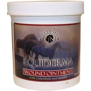 EQUIDERMA Wound Ointment 16oz