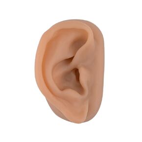 SimCoach Acupuncture Ear Model, Right Artificial Ear Replica for Auricular Therapy Teaching, Piercing Practice, Hearing Aids, Jewelry Display (Brown)