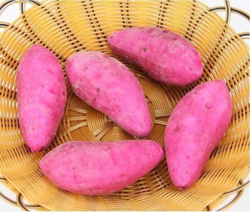 5 قطع من الخضروات المزيفة على شكل بطاطا حلوة صناعية لتزيين حفلات المطبخ المنزلي in Kuwait