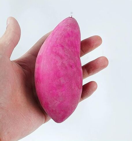 5 قطع من الخضروات المزيفة على شكل بطاطا حلوة صناعية لتزيين حفلات المطبخ المنزلي in Kuwait