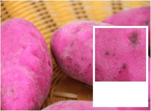 5 قطع من الخضروات المزيفة على شكل بطاطا حلوة صناعية لتزيين حفلات المطبخ المنزلي in Kuwait