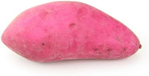 5 قطع من الخضروات المزيفة على شكل بطاطا حلوة صناعية لتزيين حفلات المطبخ المنزلي in Kuwait