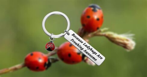 HOLLP Ladybug Jewelry Lady Beetle هدية لأن الخنفساء هي سلسلة مفاتيح رائعة جدًا للبستاني in Kuwait
